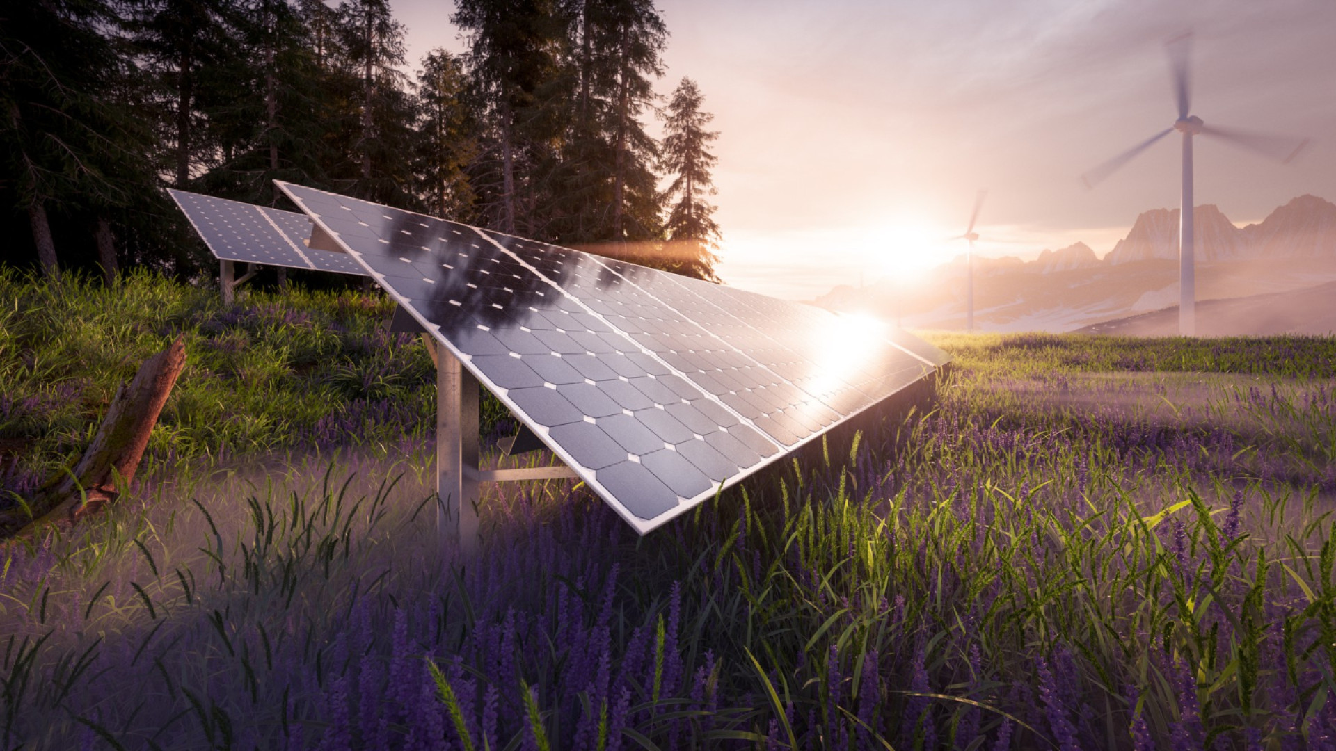 Énergie solaire en France : ce que les chiffres de 2026 changent vraiment
